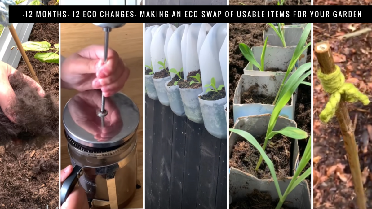 -12 Months- 12 Eco Changes- Making An Eco Swap Of Usable Items For Your Garden